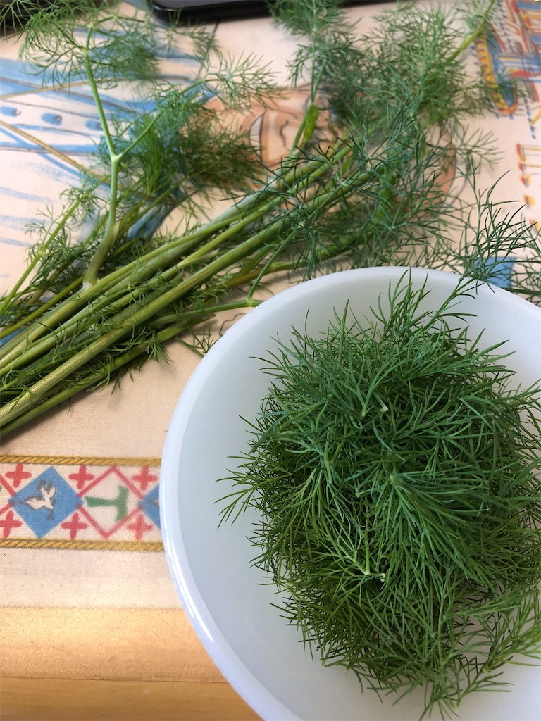 f:id:nemogon:20220528105138j:image