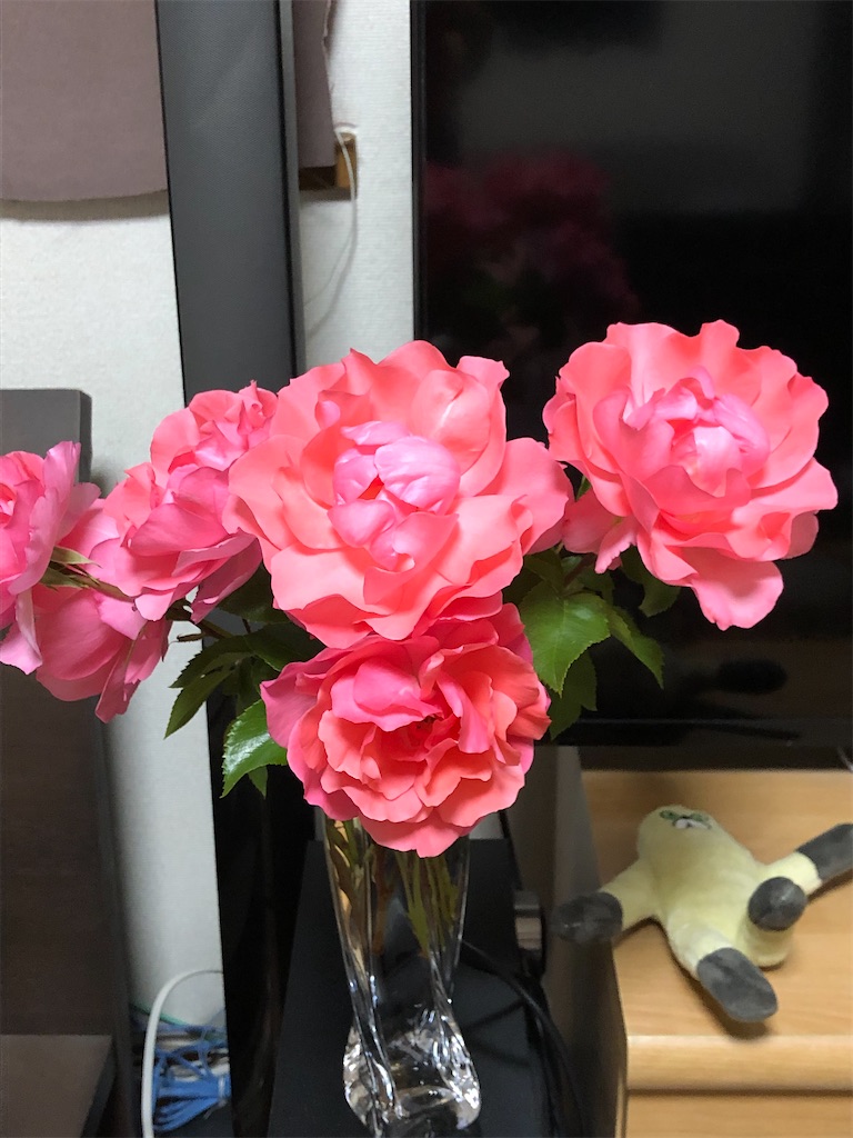 f:id:nemogon:20220601100141j:image