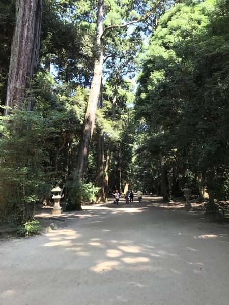 f:id:nemokotan:20190908083213j:plain f:id:nemokotan:20190908083213j:plain