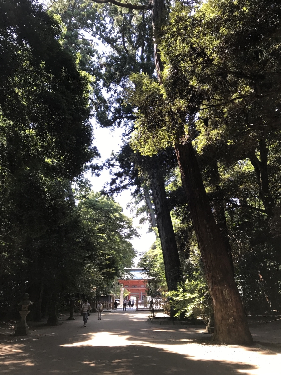 f:id:nemokotan:20190908092708j:plain f:id:nemokotan:20190908092708j:plain