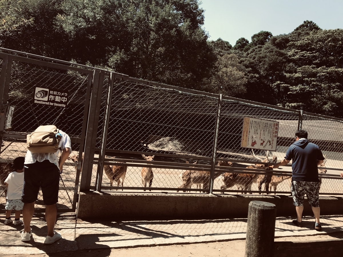 f:id:nemokotan:20190908133105j:plain f:id:nemokotan:20190908133105j:plain