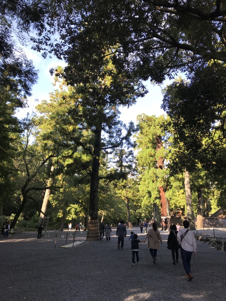 f:id:nemokotan:20191106093650j:plain f:id:nemokotan:20191106093650j:plain