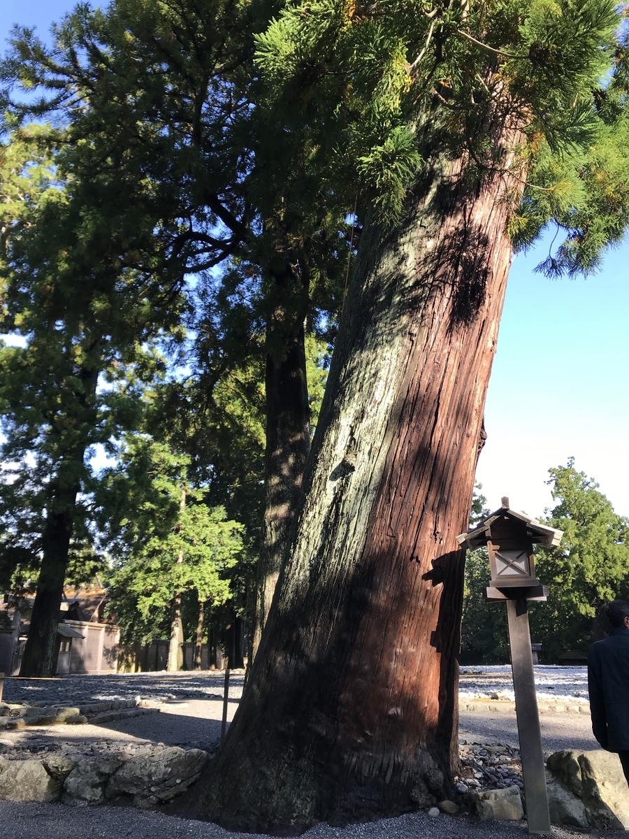 f:id:nemokotan:20191106093843j:plain f:id:nemokotan:20191106093843j:plain