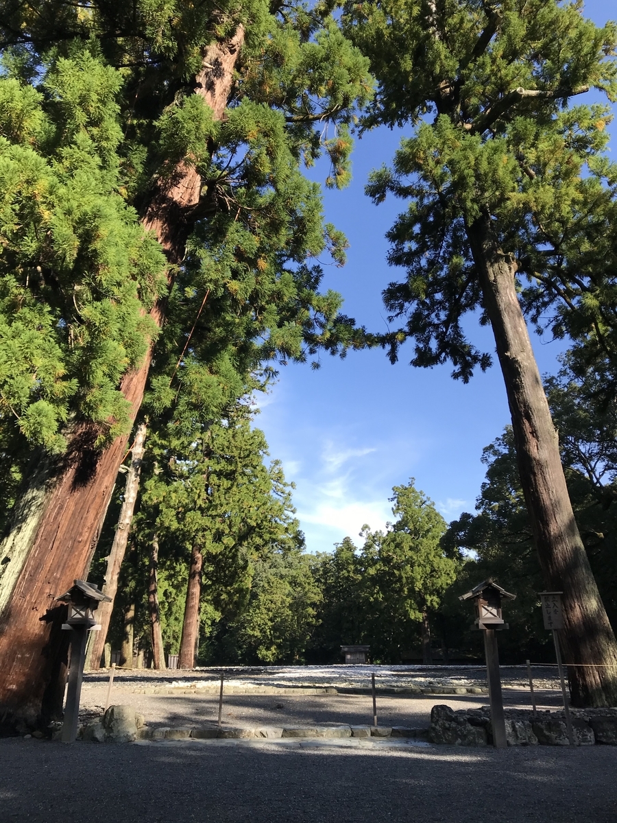 f:id:nemokotan:20191106094611j:plain f:id:nemokotan:20191106094611j:plain