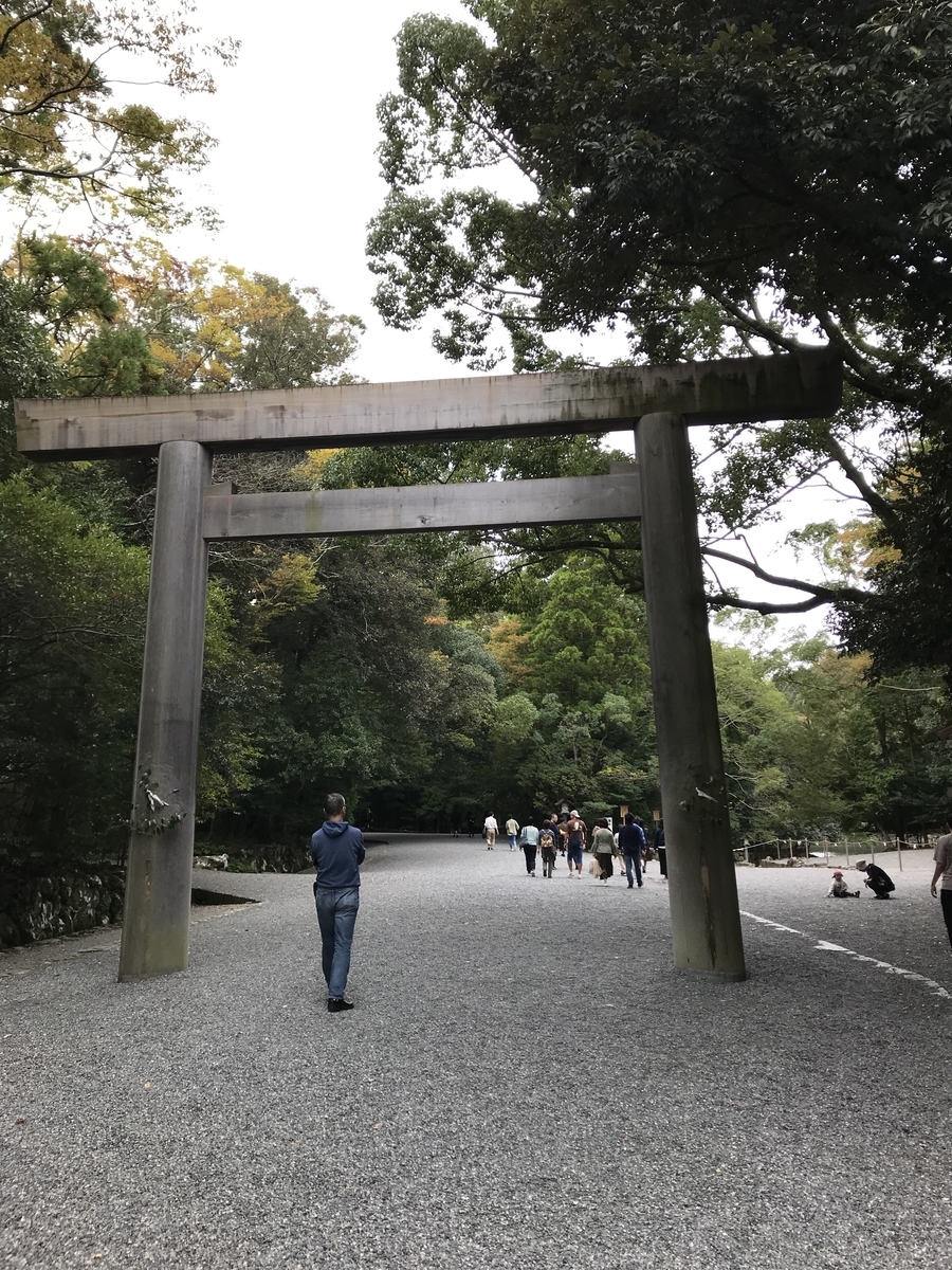 f:id:nemokotan:20191107120026j:plain f:id:nemokotan:20191107120026j:plain