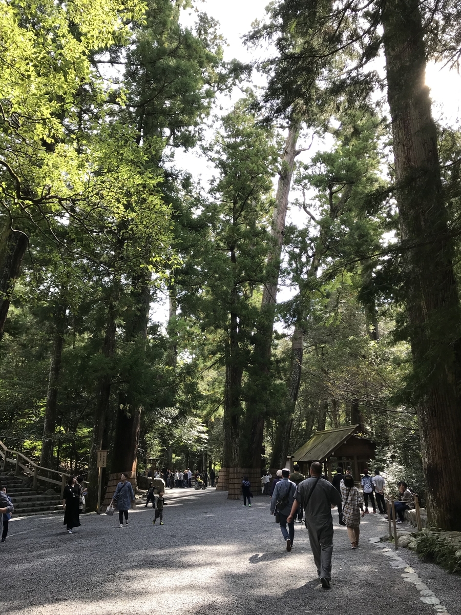 f:id:nemokotan:20191107121906j:plain f:id:nemokotan:20191107121906j:plain