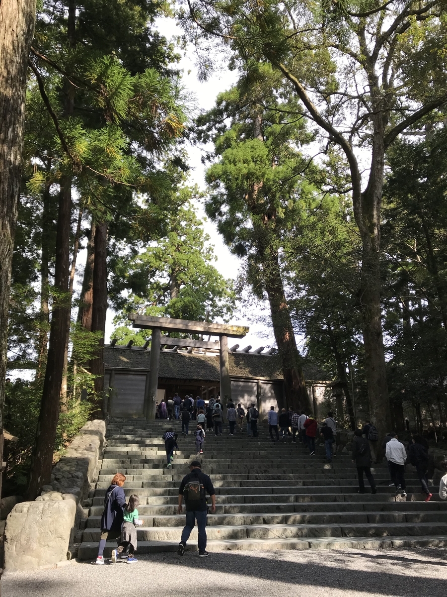 f:id:nemokotan:20191107122357j:plain f:id:nemokotan:20191107122357j:plain