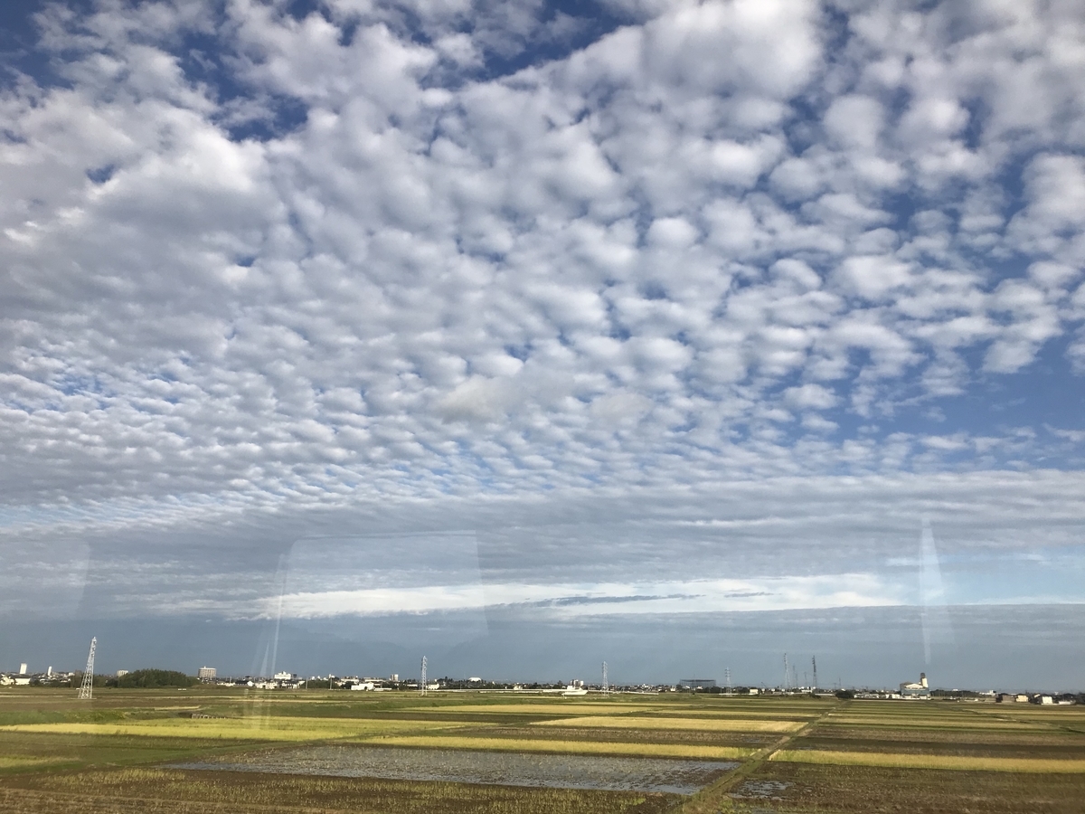 f:id:nemokotan:20191108111344j:plain f:id:nemokotan:20191108111344j:plain