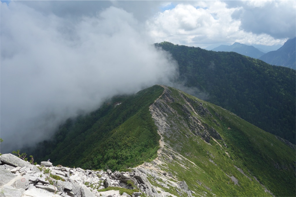 f:id:nemotrek:20180720114425j:image f:id:nemotrek:20180720114425j:image