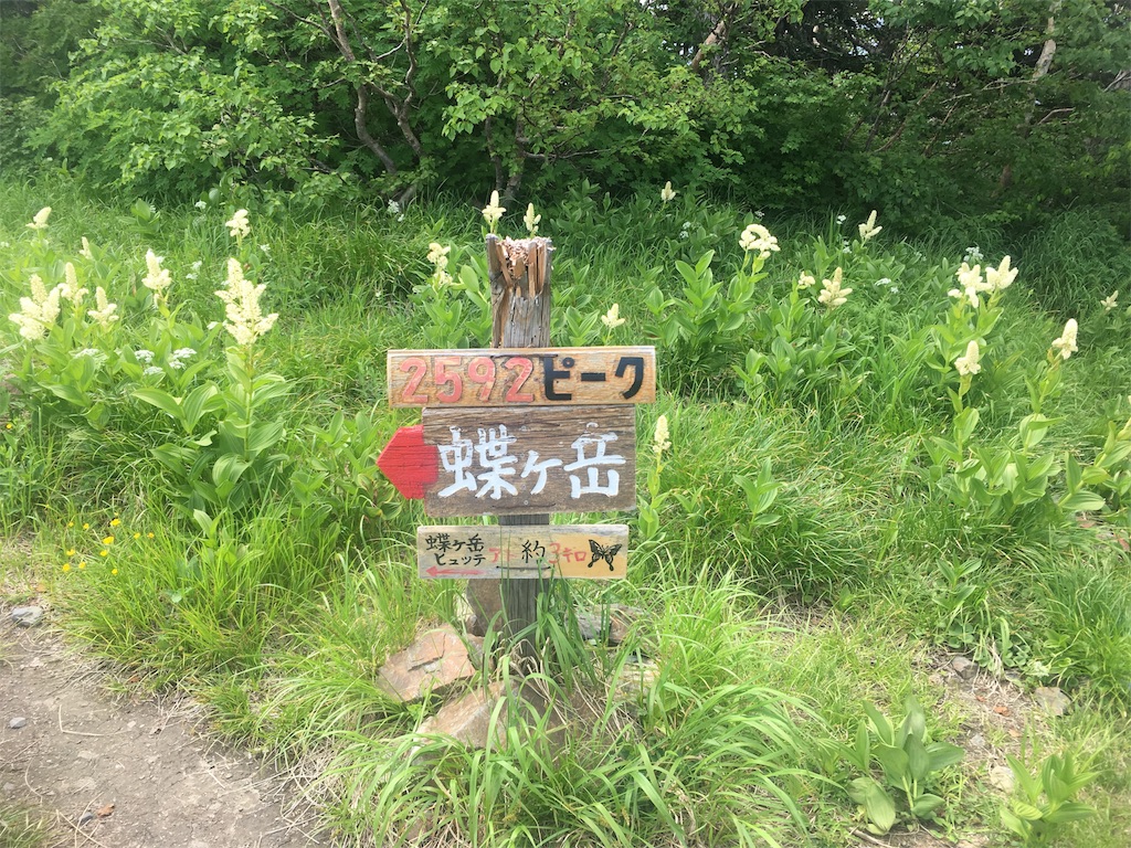 f:id:nemotrek:20180720115158j:image f:id:nemotrek:20180720115158j:image
