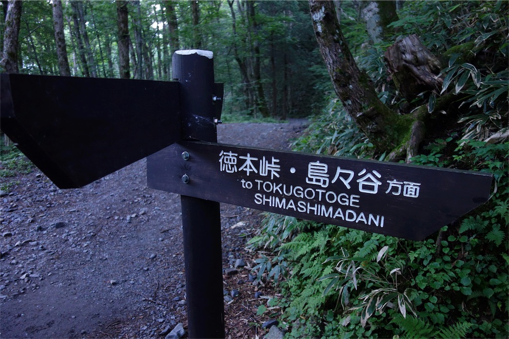 f:id:nemotrek:20180721094600j:image f:id:nemotrek:20180721094600j:image