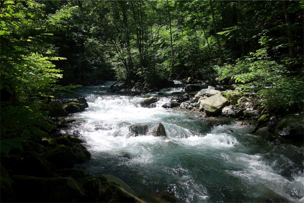 f:id:nemotrek:20180722130427j:image f:id:nemotrek:20180722130427j:image