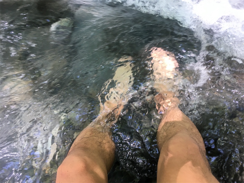f:id:nemotrek:20180722130515j:image f:id:nemotrek:20180722130515j:image