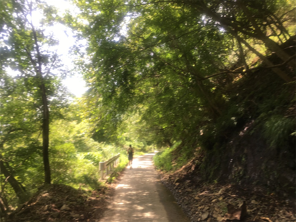 f:id:nemotrek:20180820210554j:image f:id:nemotrek:20180820210554j:image