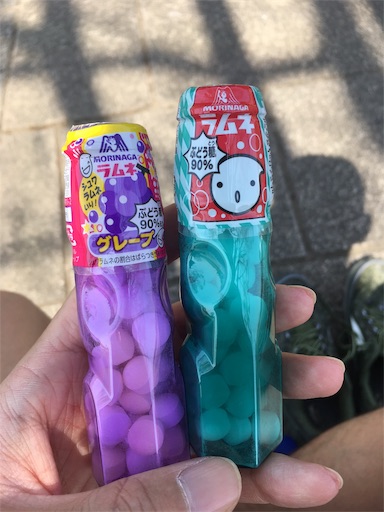 f:id:nemotrek:20190417082803j:image f:id:nemotrek:20190417082803j:image