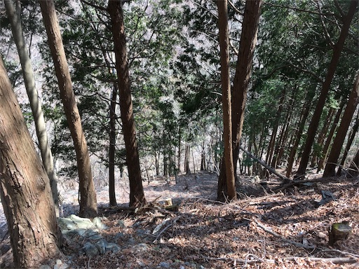 f:id:nemotrek:20190417082916j:image f:id:nemotrek:20190417082916j:image