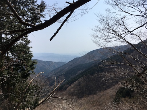 f:id:nemotrek:20190417083010j:image f:id:nemotrek:20190417083010j:image