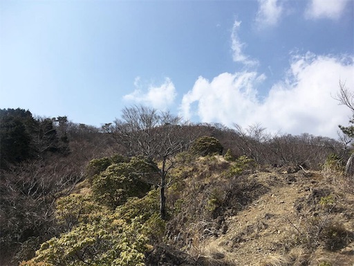 f:id:nemotrek:20190417083110j:image f:id:nemotrek:20190417083110j:image