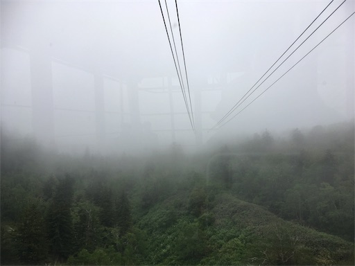 f:id:nemotrek:20190705172502j:image f:id:nemotrek:20190705172502j:image