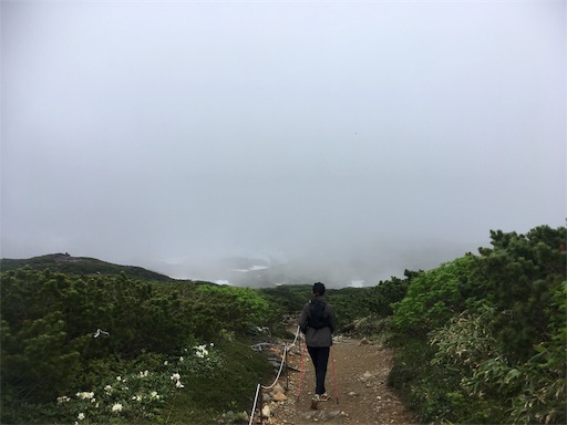 f:id:nemotrek:20190705174909j:image f:id:nemotrek:20190705174909j:image