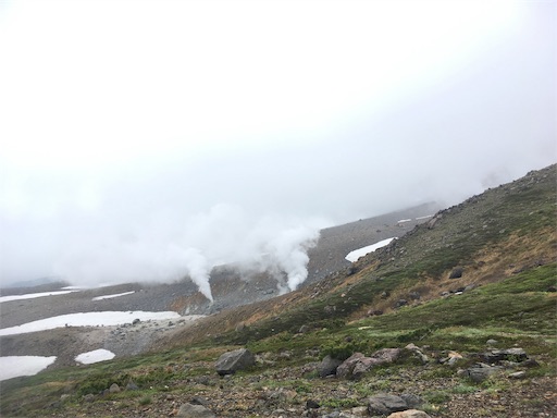 f:id:nemotrek:20190705174941j:image f:id:nemotrek:20190705174941j:image