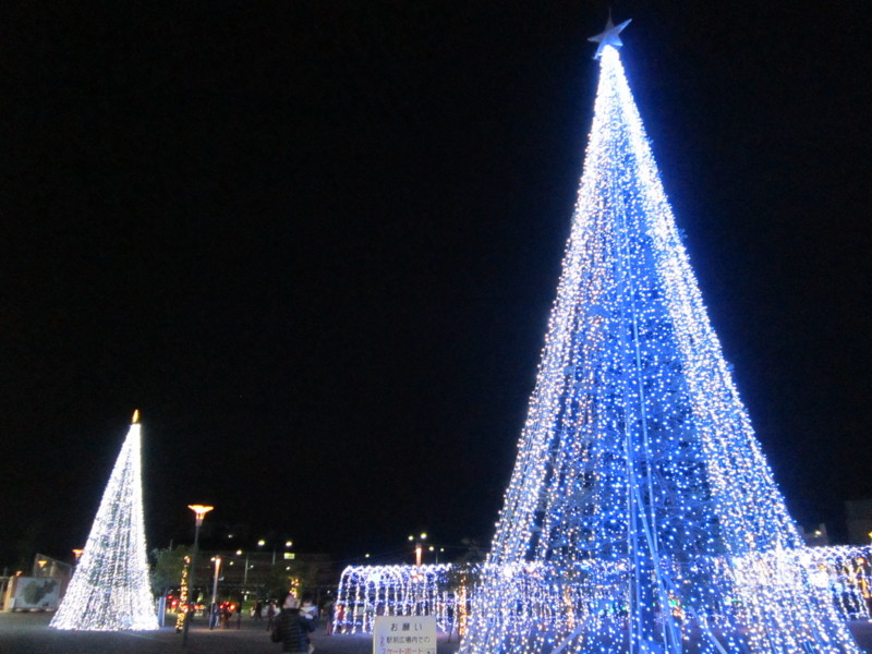 f:id:nemu256:20141123192546j:image:w360 f:id:nemu256:20141123192546j:image:w360