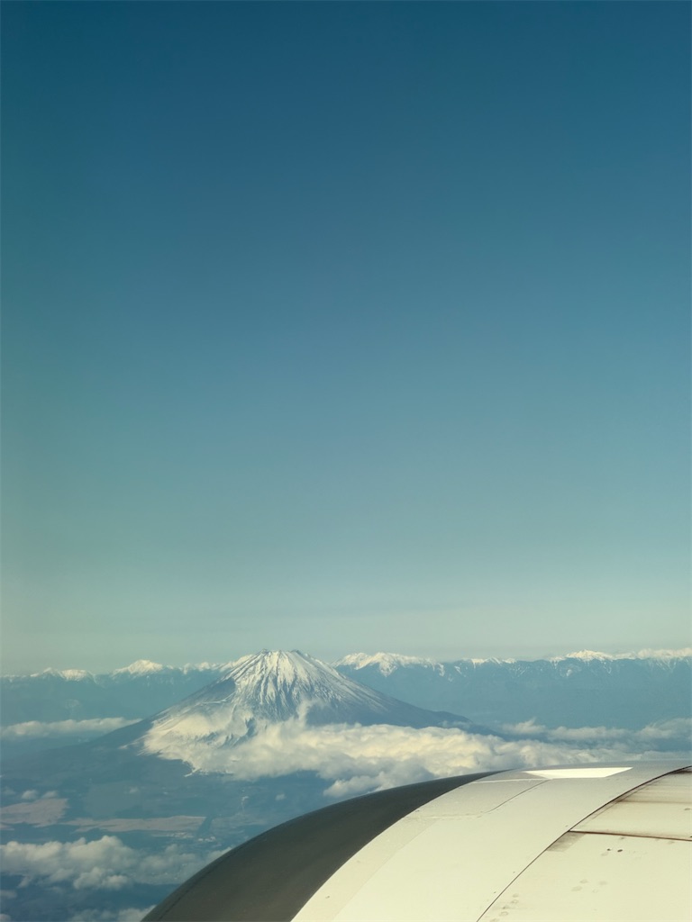 f:id:nemu2bear:20250105175022j:image f:id:nemu2bear:20250105175022j:image
