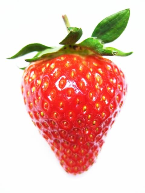 f:id:nemucolog:20180302173439j:plain f:id:nemucolog:20180302173439j:plain