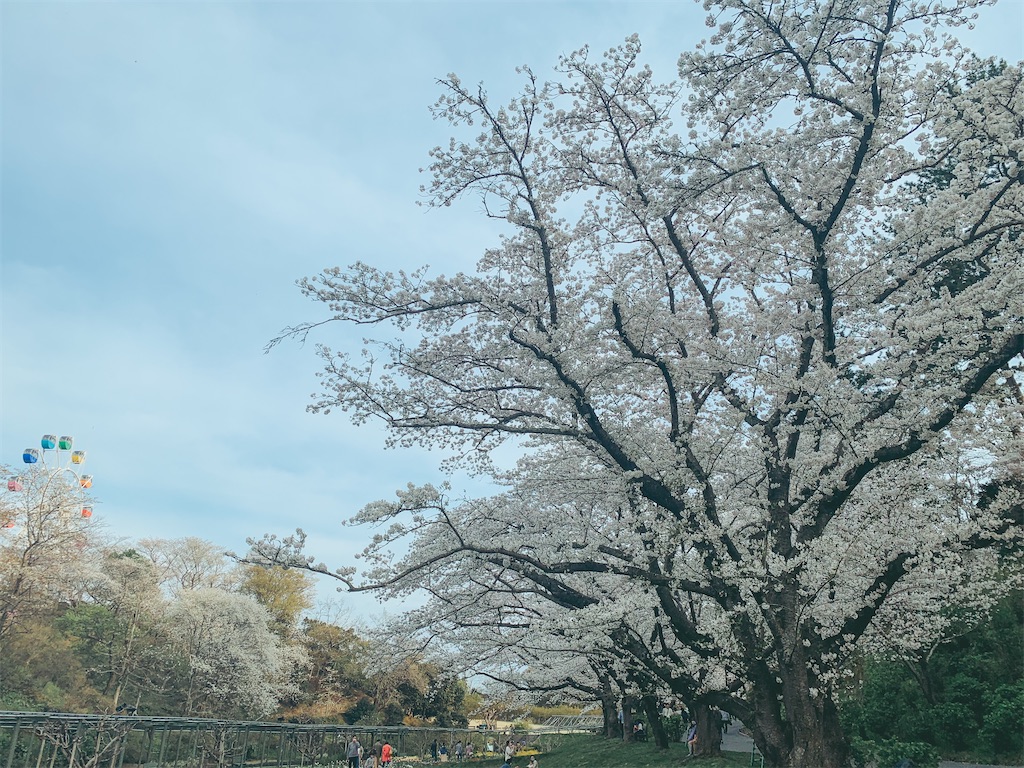 f:id:nemui-chan:20210404193018j:image f:id:nemui-chan:20210404193018j:image