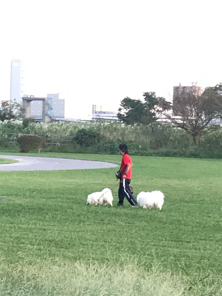 f:id:nemuiemotion:20191008090634j:image f:id:nemuiemotion:20191008090634j:image