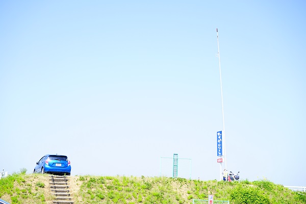 f:id:nemuneco-r:20180608161212j:plain f:id:nemuneco-r:20180608161212j:plain