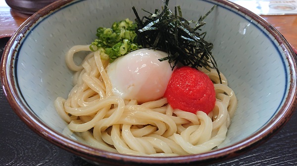 f:id:nemuneco-r:20180608203736j:plain f:id:nemuneco-r:20180608203736j:plain