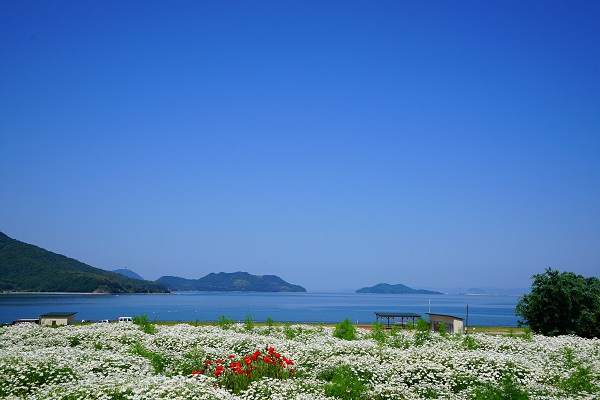 f:id:nemuneco-r:20180609153702j:plain f:id:nemuneco-r:20180609153702j:plain