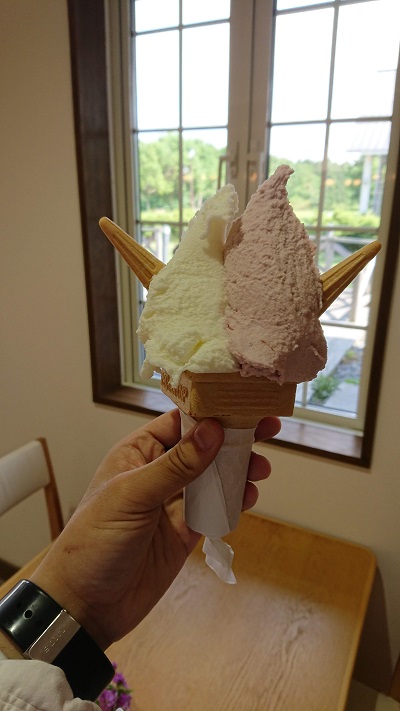 f:id:nemuneco-r:20180613002806j:plain 滋賀・メタセコイア並木道の新緑