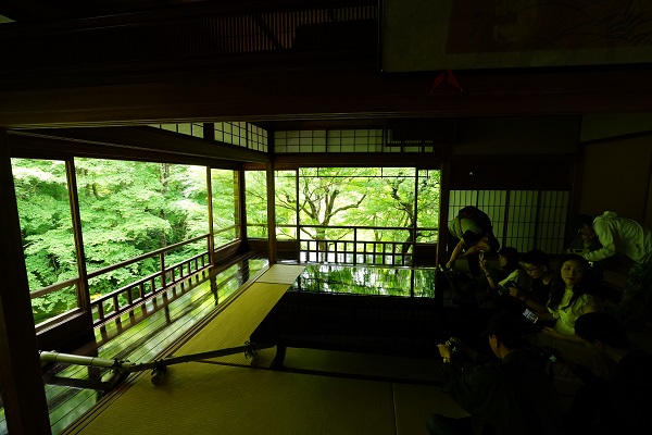 f:id:nemuneco-r:20180619133215j:plain f:id:nemuneco-r:20180619133215j:plain