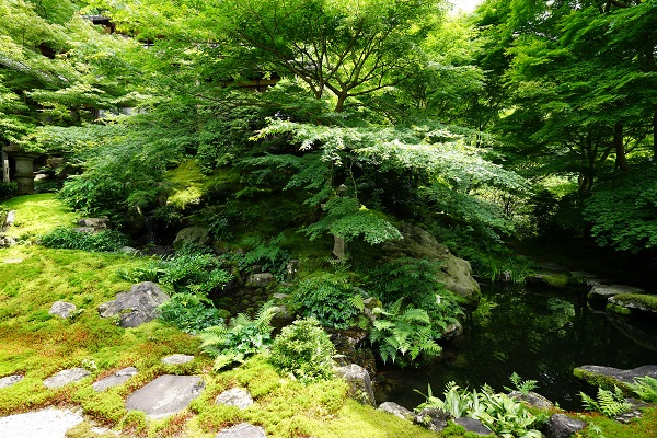f:id:nemuneco-r:20180619144626j:plain f:id:nemuneco-r:20180619144626j:plain