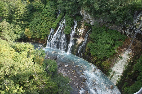 f:id:nemuneco-r:20180704125015j:plain 夏の北海道旅行「美瑛」