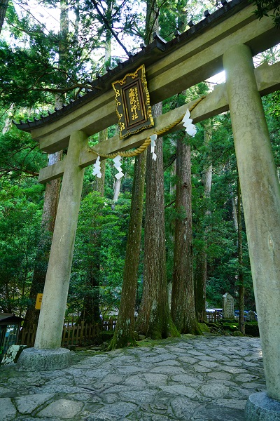飛瀧神社の鳥居