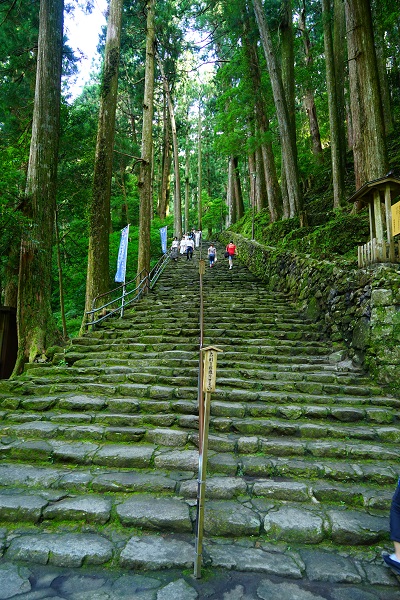 飛瀧神社の階段