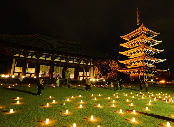 なら燈花会|興福寺五重塔と東金堂