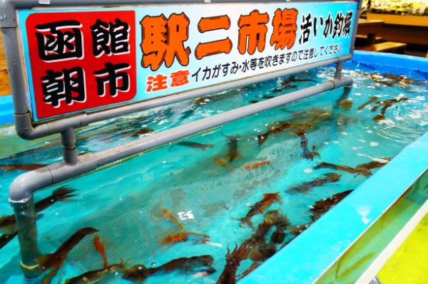 函館|函館朝市「活いか釣り堀」
