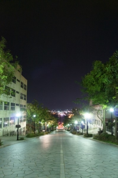 函館|坂道の夜景