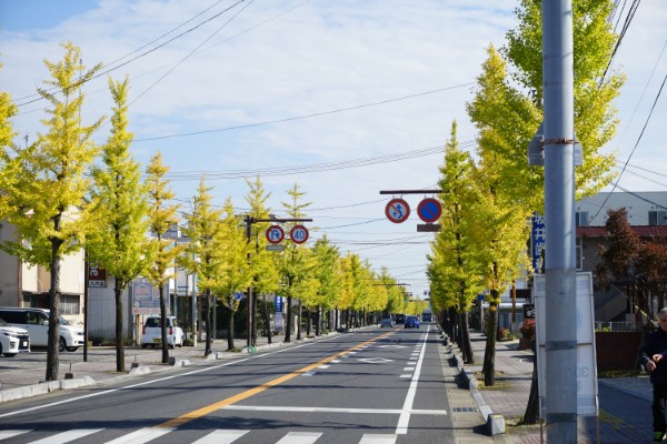 佐賀|佐賀市内