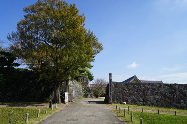 佐賀|佐賀城公園