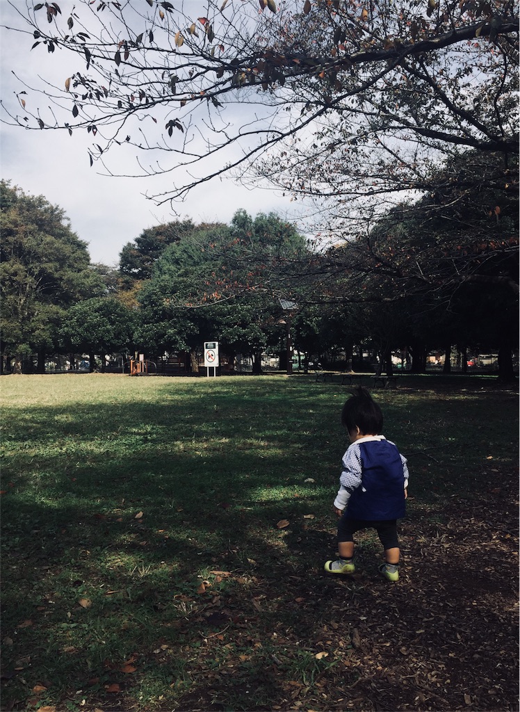 f:id:nemunk:20171102145200j:image f:id:nemunk:20171102145200j:image