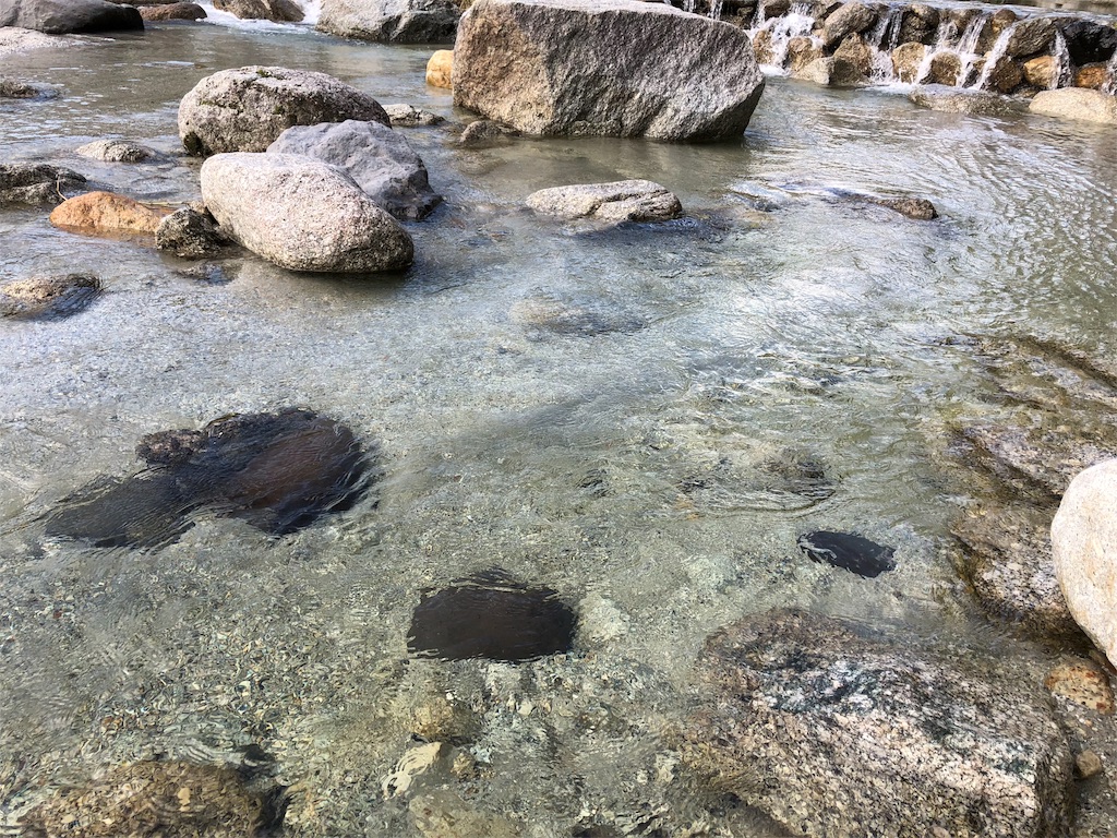 f:id:nemunk:20181027070037j:image