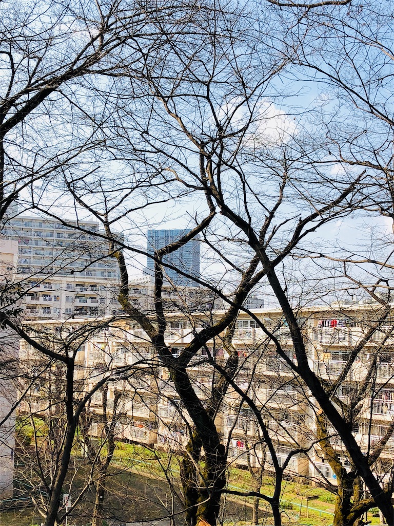 f:id:nemunk:20190309123351j:image f:id:nemunk:20190309123351j:image