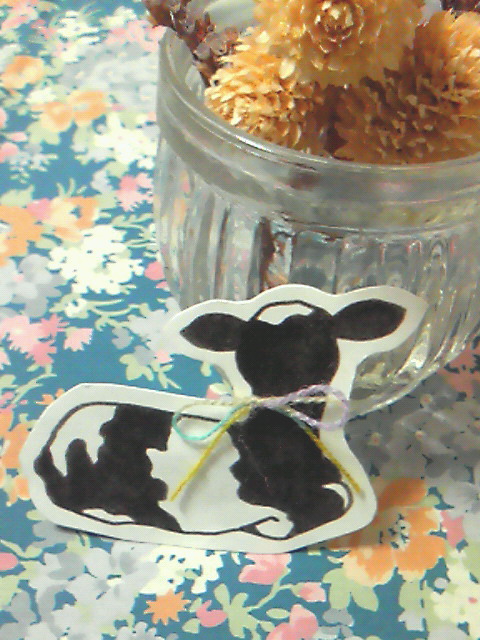 f:id:nemunoki-letter:20110511151800j:image