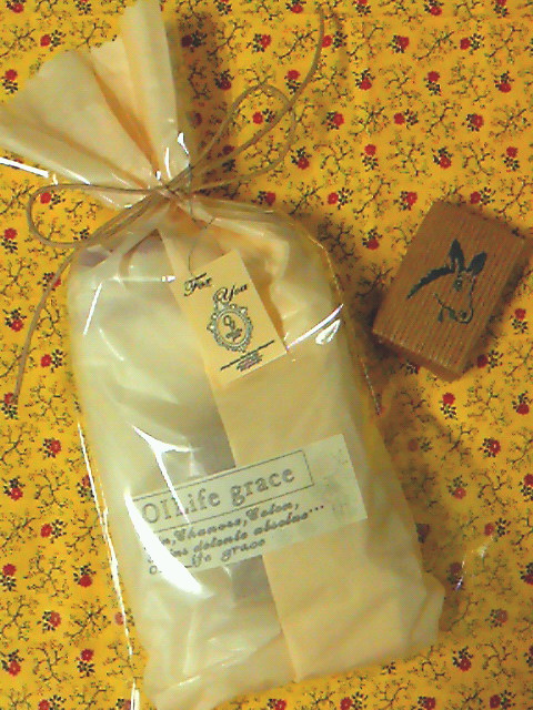 f:id:nemunoki-letter:20110630160900j:image