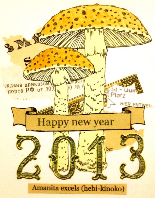 f:id:nemunoki-letter:20130107092520j:image